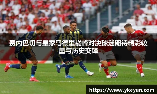 三亿体育官网入口